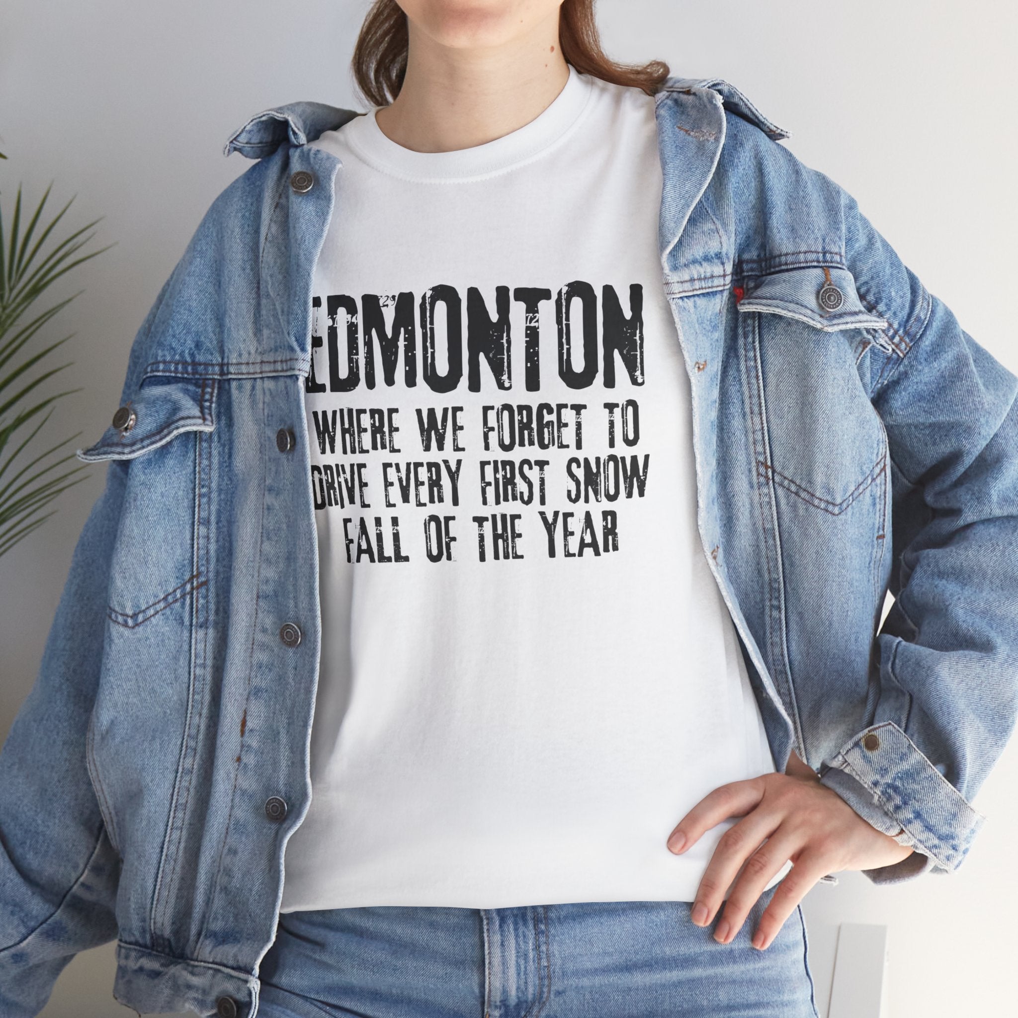 Edmonton First Snow Tshirt