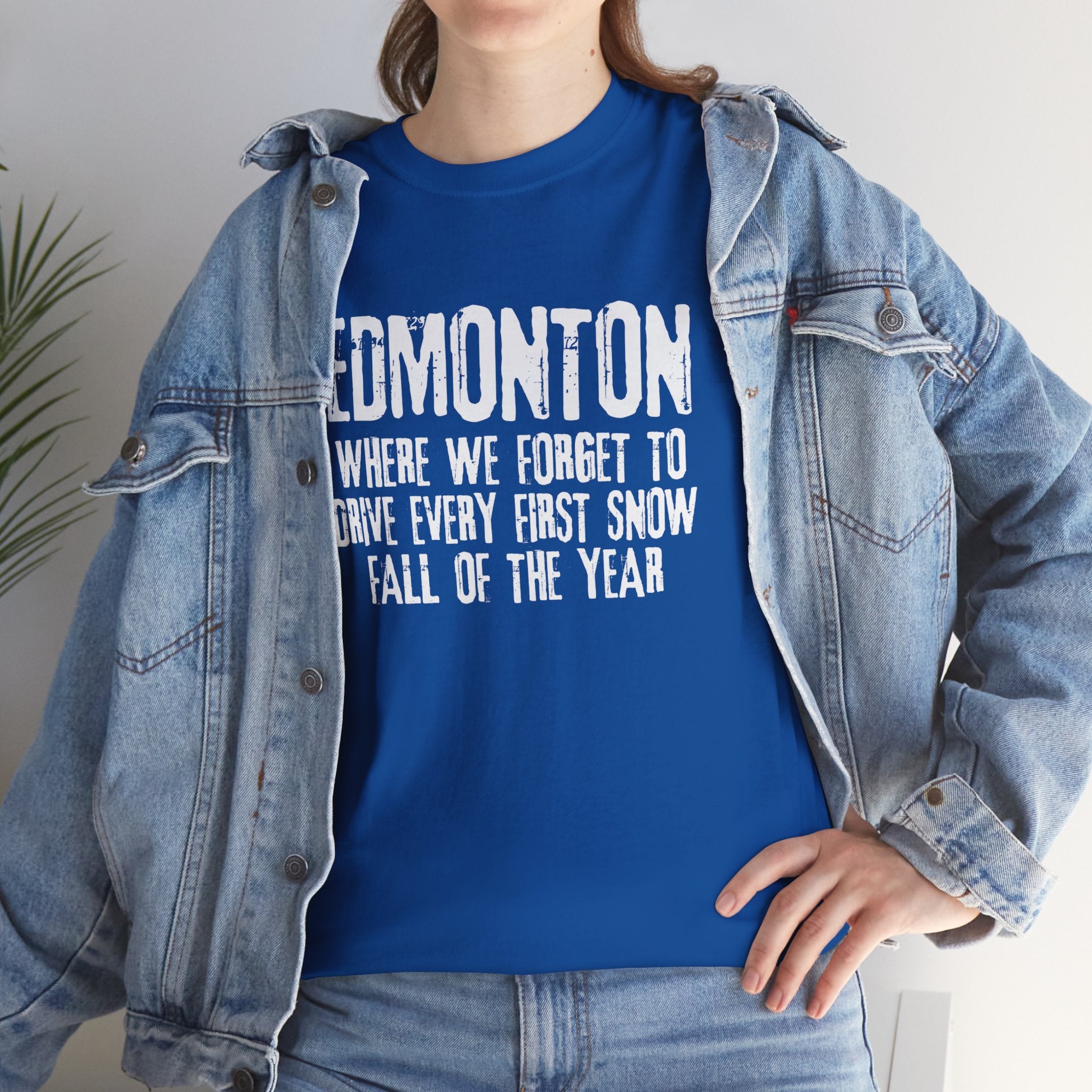 Edmonton First Snow Tshirt