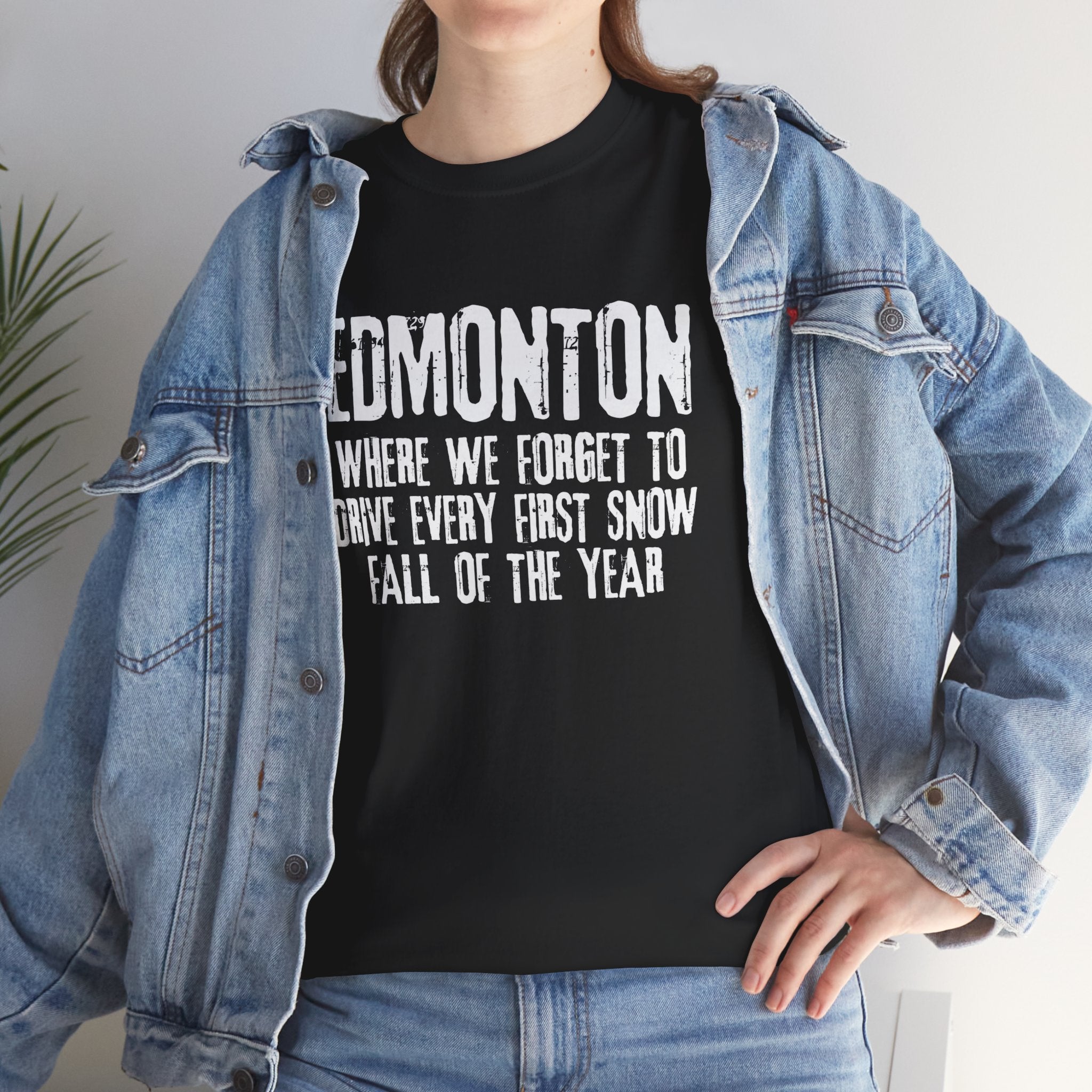 Edmonton First Snow Tshirt